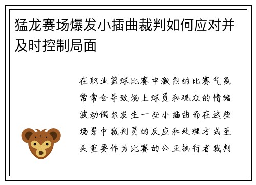 猛龙赛场爆发小插曲裁判如何应对并及时控制局面